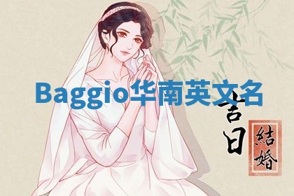 Baggio华南英文名