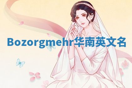 Bozorgmehr华南英文名