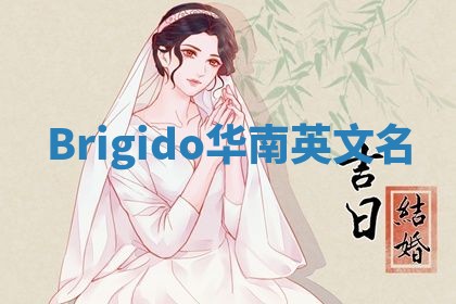 Brigido华南英文名