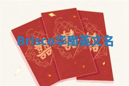 Brisco华南英文名