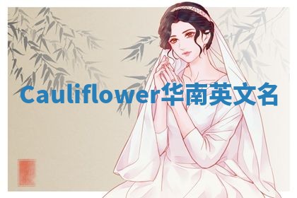 Cauliflower华南英文名