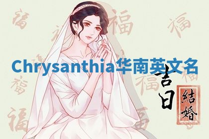 Chrysanthia华南英文名