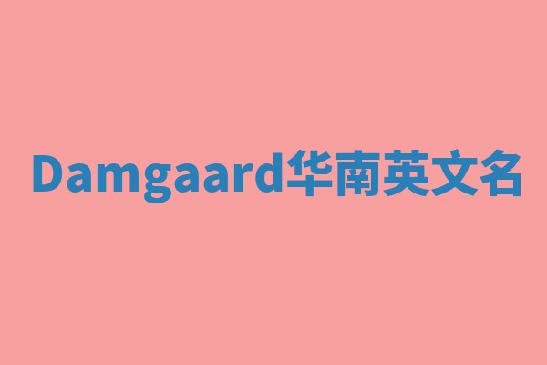 Damgaard华南英文名