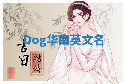 Dog华南英文名
