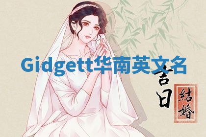 Gidgett华南英文名