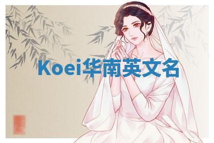 Koei华南英文名