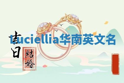 Luciellia华南英文名