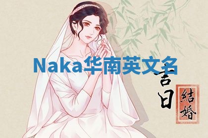 Naka华南英文名