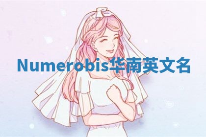 Numerobis华南英文名 Numerobis华南英文名