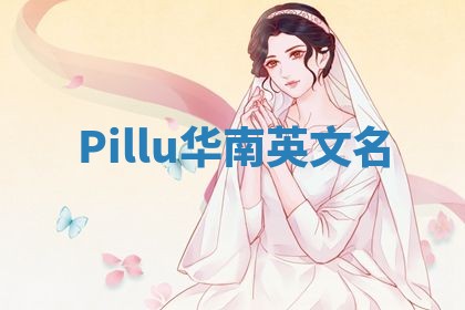 Pillu华南英文名