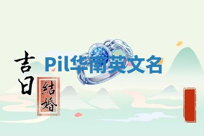 Pil华南英文名
