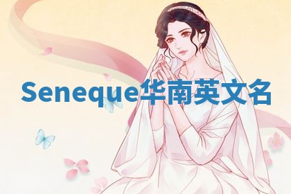 Seneque华南英文名