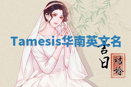 Tamesis华南英文名