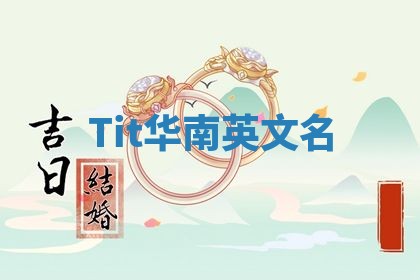 Tit华南英文名