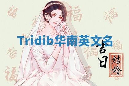 Tridib华南英文名