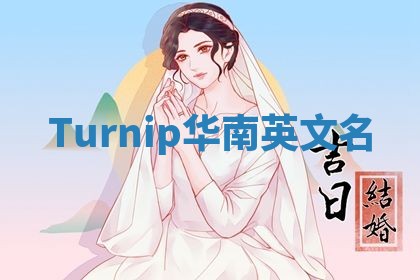 Turnip华南英文名
