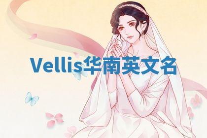 Vellis华南英文名