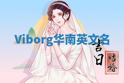 Viborg华南英文名