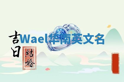 Wael华南英文名