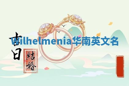 Wilhelmenia华南英文名